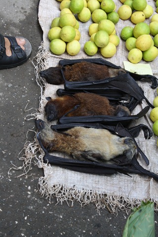 [PapuaandBandung0512.jpg]