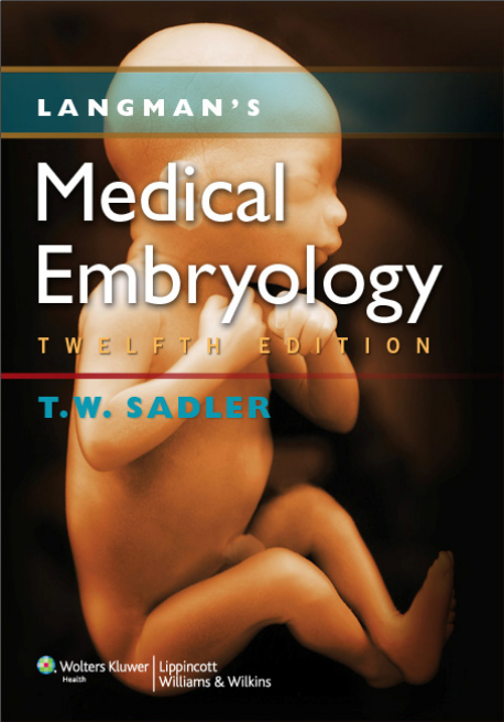 [langman%2527s-medical-embriology%255B3%255D.png]