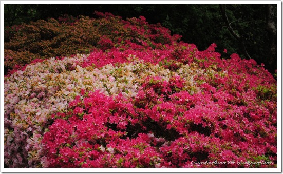 DSC_0540 DSC_0540