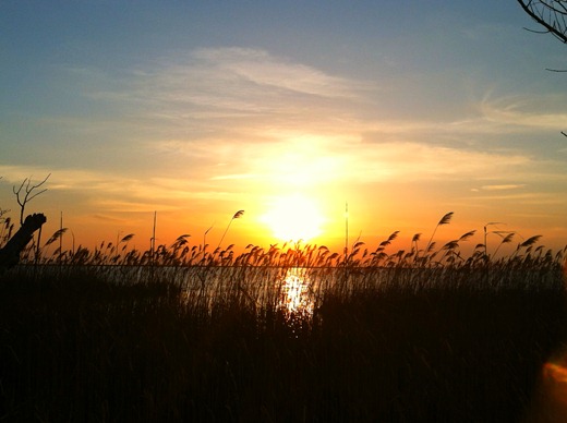 [IMG_0756%255B7%255D.jpg]