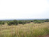 South Africa Day 1 - On Safari
