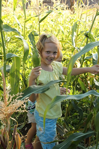 [a%2520lauren%2520corn%255B4%255D.jpg]