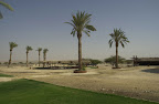 p1236838012(9).jpg