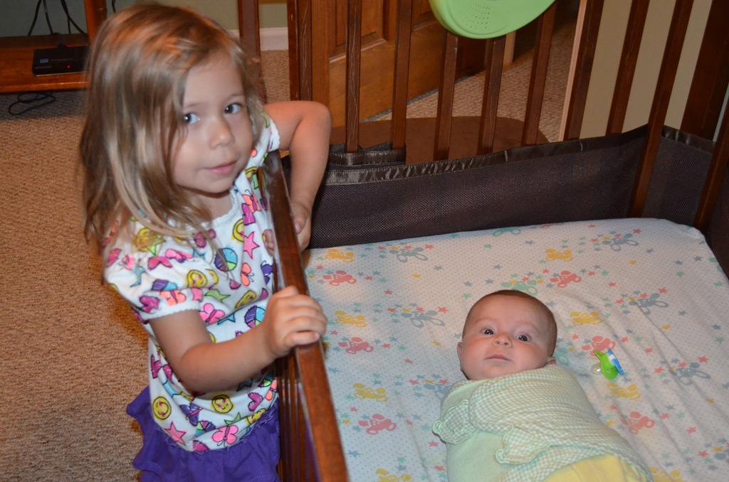 [DSC_4741%255B4%255D.jpg]