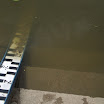 DSCI0117.JPG