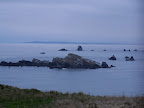 oregon_coast