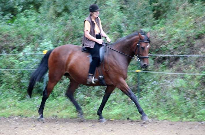 [IMG_3883%255B2%255D.jpg]