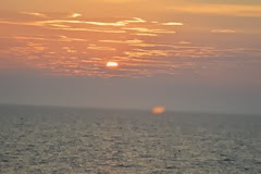 trip 209 trip 209