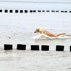 20100826_065_small.JPG