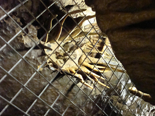 White Scar Cave Crown of Thorns White Scar Cave Crown of Thorns