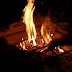 DSC_2528.JPG