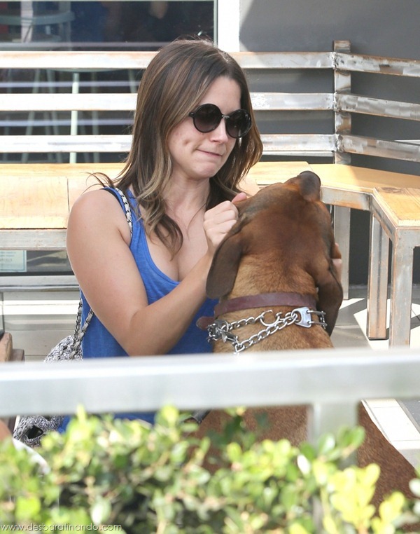 sophia-bush-linda-sexy-sensual-fofa-photo-desbaratinando (25) sophia-bush-linda-sexy-sensual-fofa-photo-desbaratinando (25)