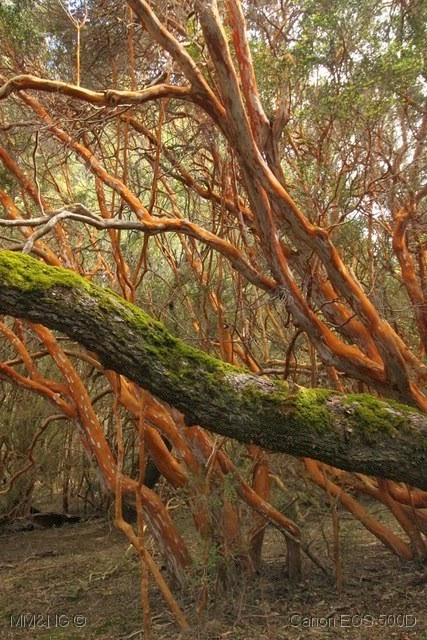 [IMG_3656%255B17%255D.jpg]