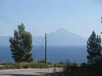 IMG_1776 IMG_1776