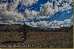 fll Cranberry Glades_ROT1911West Virginia-Edit  NIKON D3S May 05, 2011