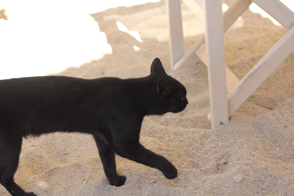 [Wedding_Honeymoon%2520333%255B3%255D.jpg]