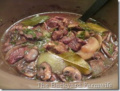 crock pot beef burgundy - The Backyard Farmwife