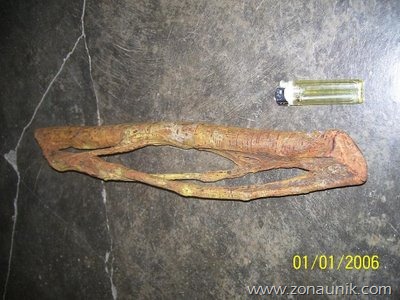 [Akar%2520Mimang-Jawa%255B5%255D.jpg]