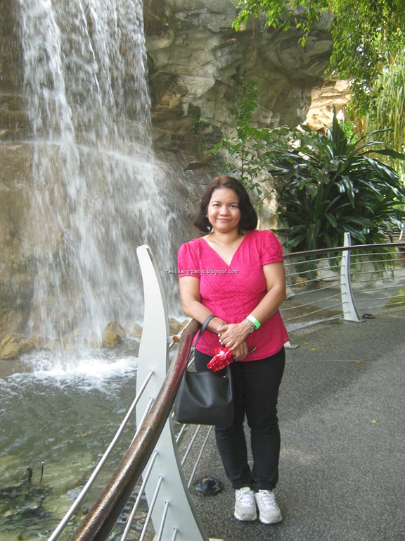 [IMG_11653.jpg]