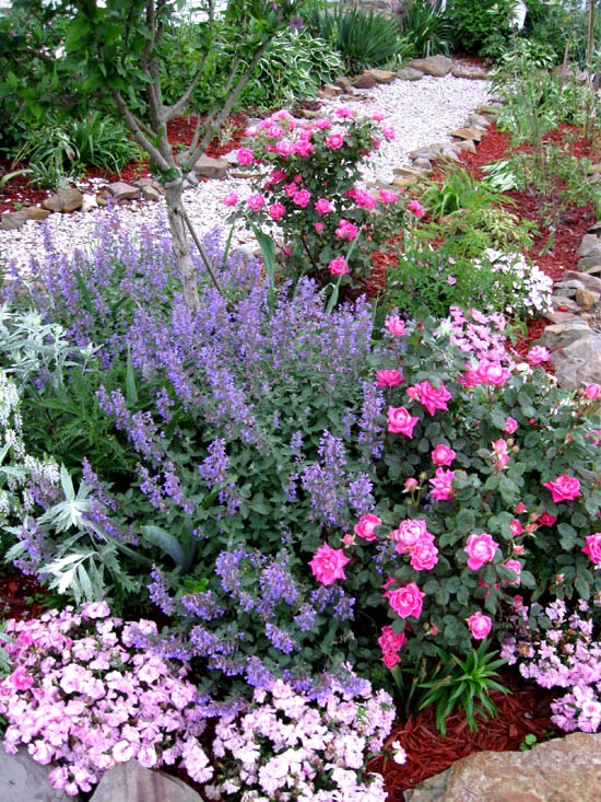 Creative Country Mom Favorite Flowers Pink Double Knockout Roses