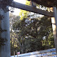 first shrine visit 2012: Meiji Jingu