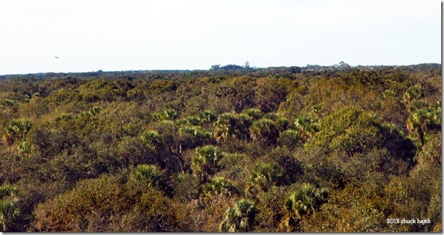 Myakka tower view 126 Myakka tower view 126
