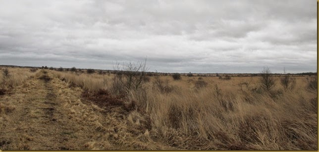 Panorama_0 Panorama_0