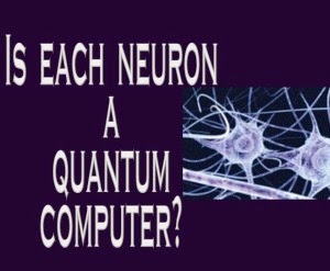 [neuron-computer%255B4%255D.jpg]
