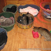 IMG_2843.JPG