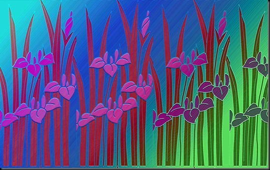 iris1c