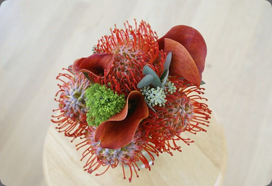 4902538310_37e92166ee green lion weddings 4902538310_37e92166ee green lion weddings