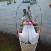 FestaVarzeadoBuriti2011-032.JPG