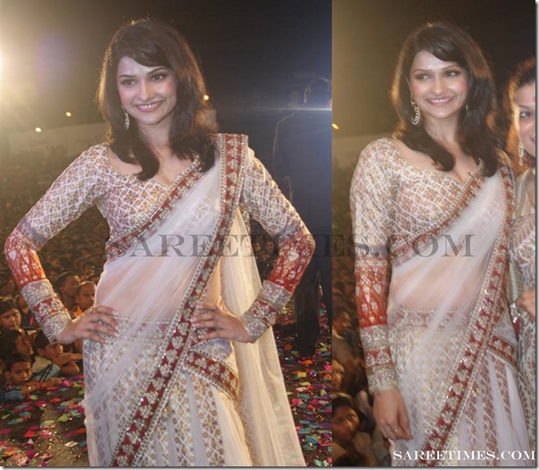 Prachi_Desai_Full_Sleeves_Saree_Blouse