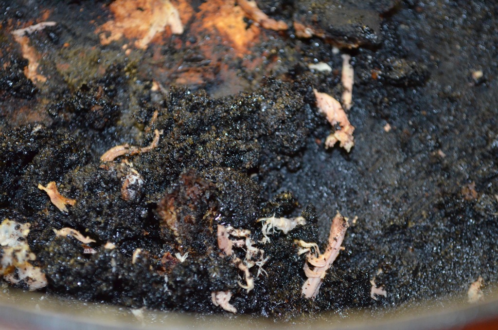 [DSC_0011%255B7%255D.jpg]