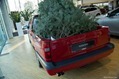 Volvo-850-T5-Pickup-Truck-5 Volvo-850-T5-Pickup-Truck-5