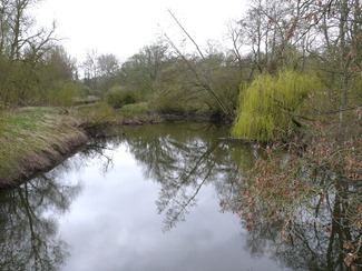 Attingham park