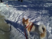 IMG_20110211_090107.jpg