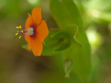P8207507