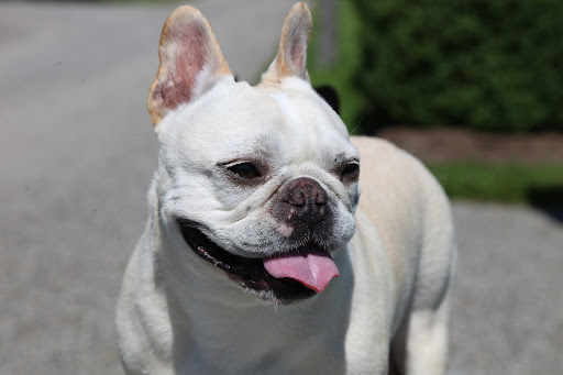 You remember Carmine - he's the fellow who is responsible all the beautiful stonework here at the farm.