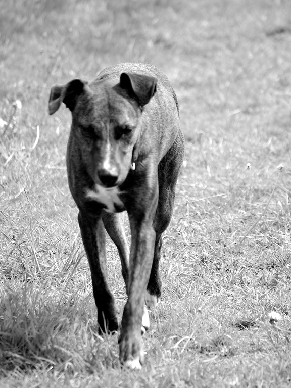 [5%2520June%252016%255B3%255D.jpg]