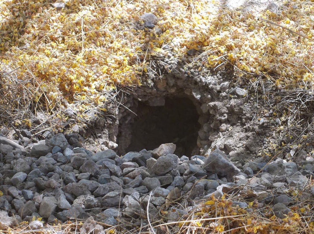 [100_1031%255B5%255D.jpg]