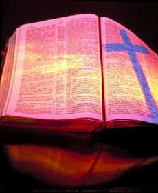 Bible Bible