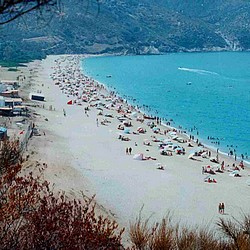 779-plage-algerie