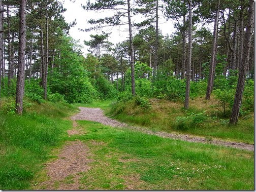 vlieland-2 vlieland-2