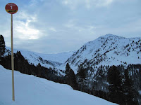 IMG_3990.jpg