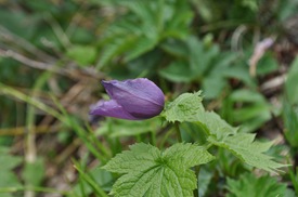 DSC_0090 DSC_0090