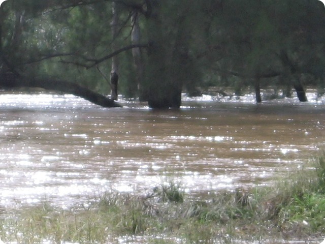 Gwydir River Campground - the flood develops - Taken by Mal & Kerry