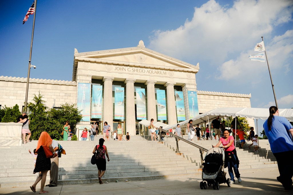 [shedd1%255B5%255D.jpg]