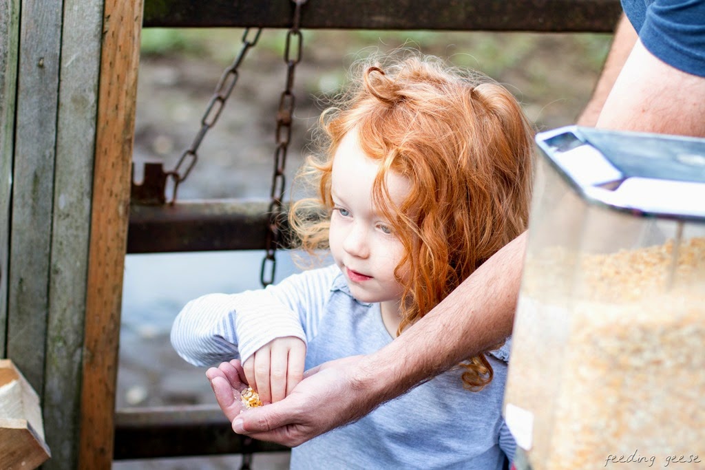 [IMG_1136-2%255B11%255D.jpg]