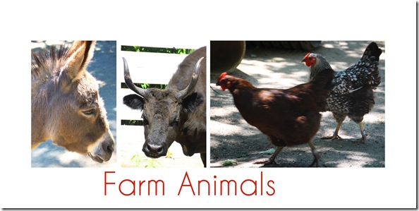 farm